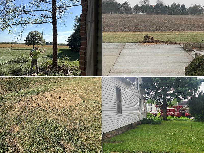 Giffin's Tree Service