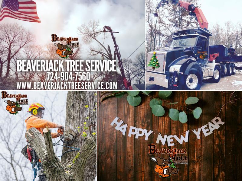 BeaverJack Tree Service, LLC