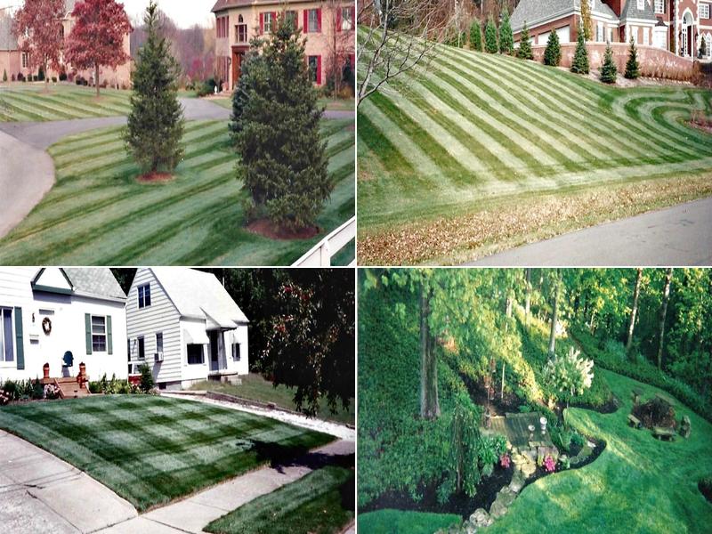 Evergreen Turf Specialist