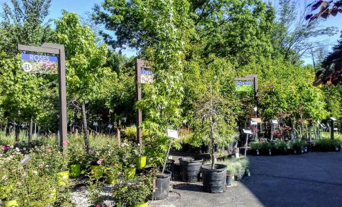 Denny McKeown's Bloomin' Garden Centre & Landscape