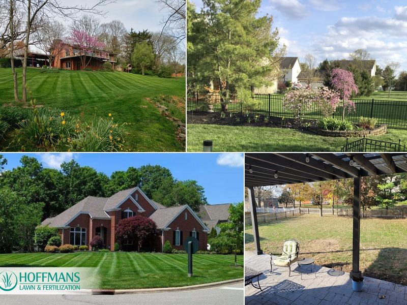 Hoffmans Lawn & Fertilization