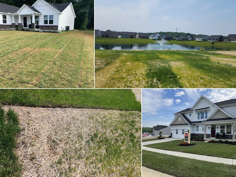 Greenpro Services Inc