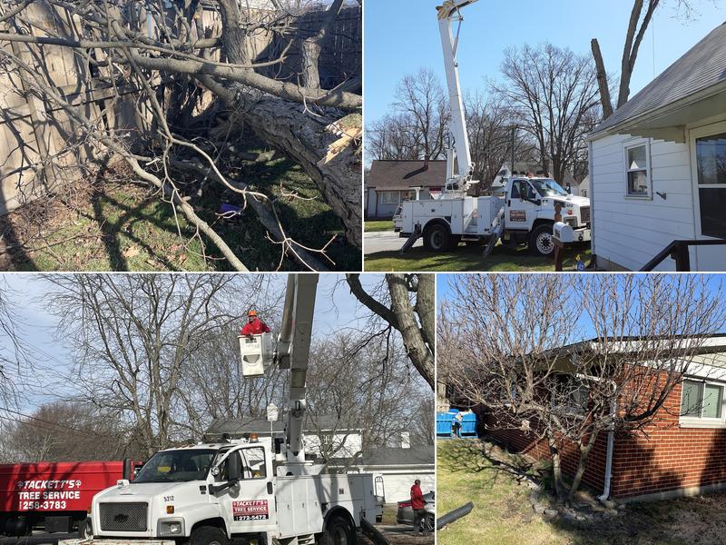 Tackett Tree Service