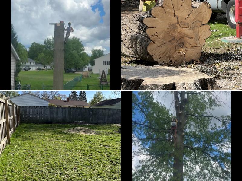 Sharp Edge Tree & Landscaping