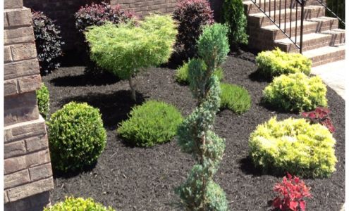 JDI Landscaping LLC