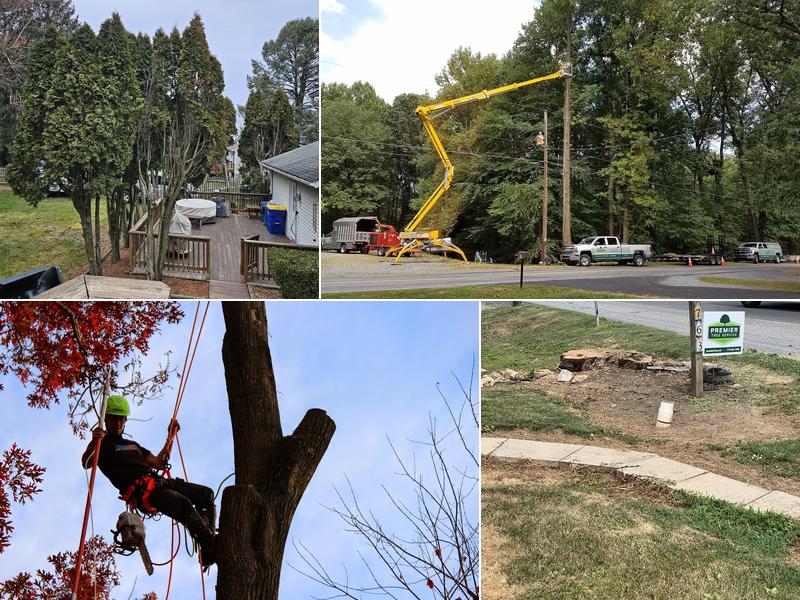 Premier Tree Service Inc.