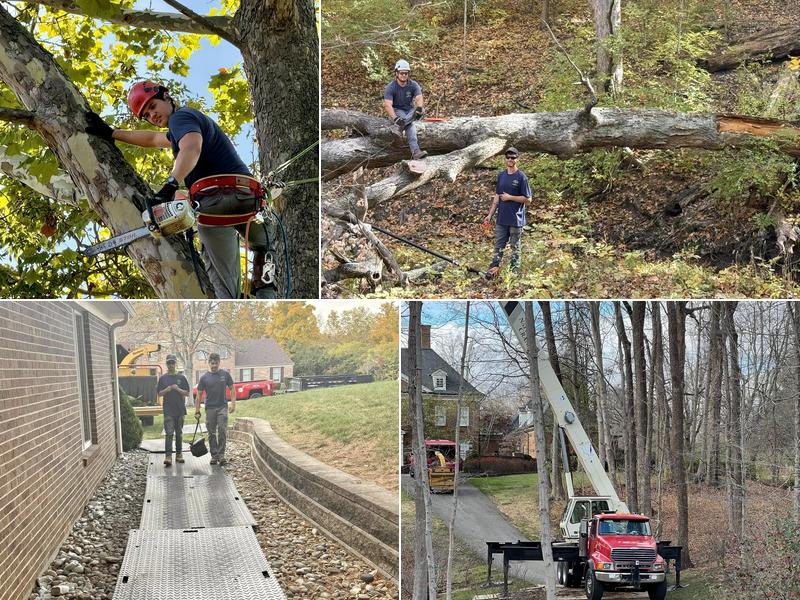 Taylor's Tree & Landscaping