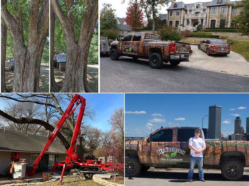 Henderson Tree and Landscape, LLC