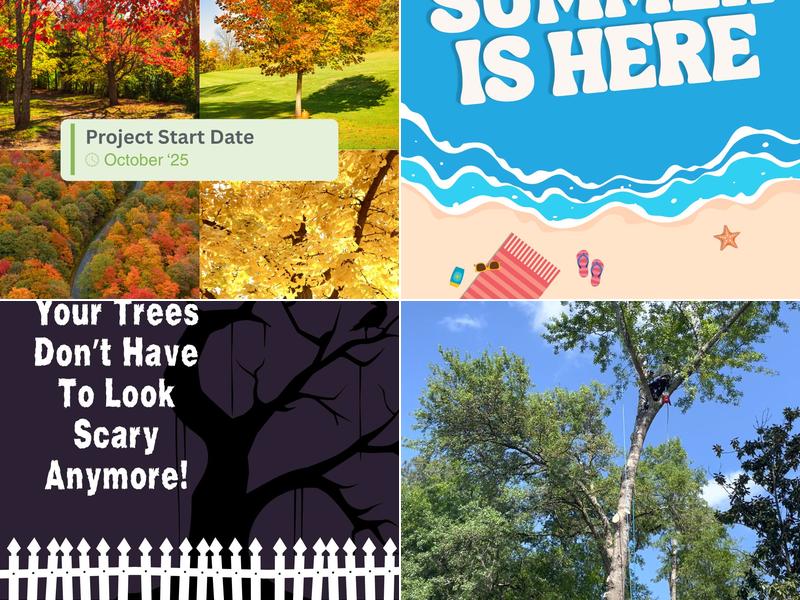 Heartwood Tree Care llc