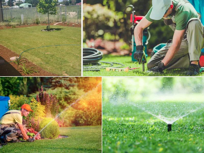 Wet-N-Wild Sprinklers Inc