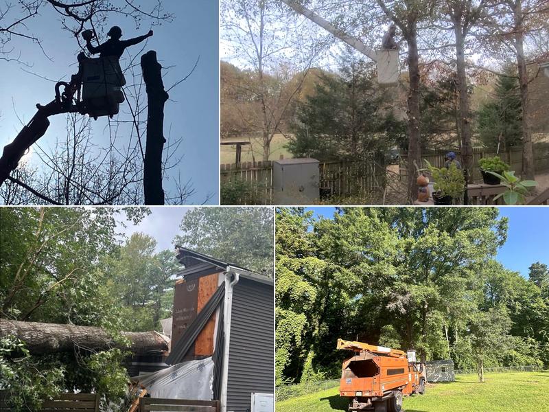 Tree Techs of Rock Hill