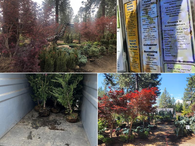 Bend Pine Nursery LLC