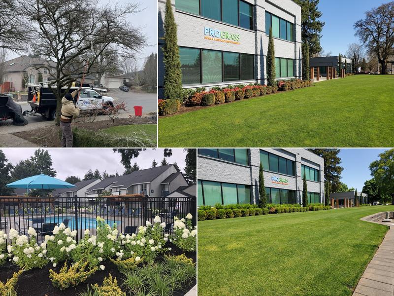 ProGrass Landscape Care & Design