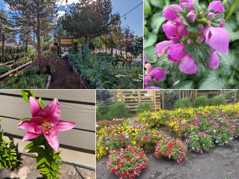 C & C Nursery & Landscape Maintenance LLC.