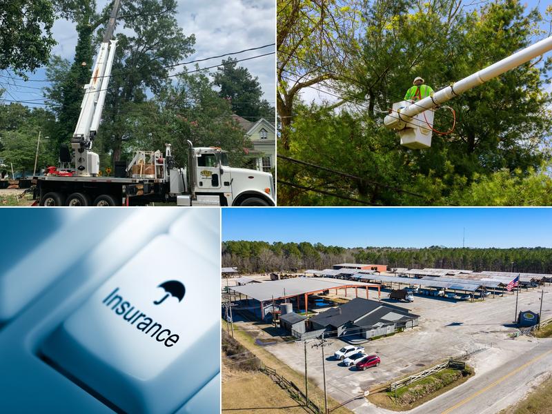 State Tree Services, Inc