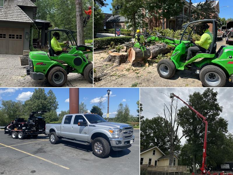 Franklin Tree Service