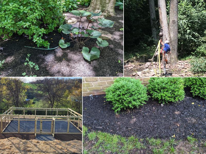 Moonlight Landscape & Tree