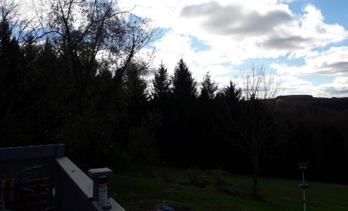 Gardens In Bloom Landscape & Design