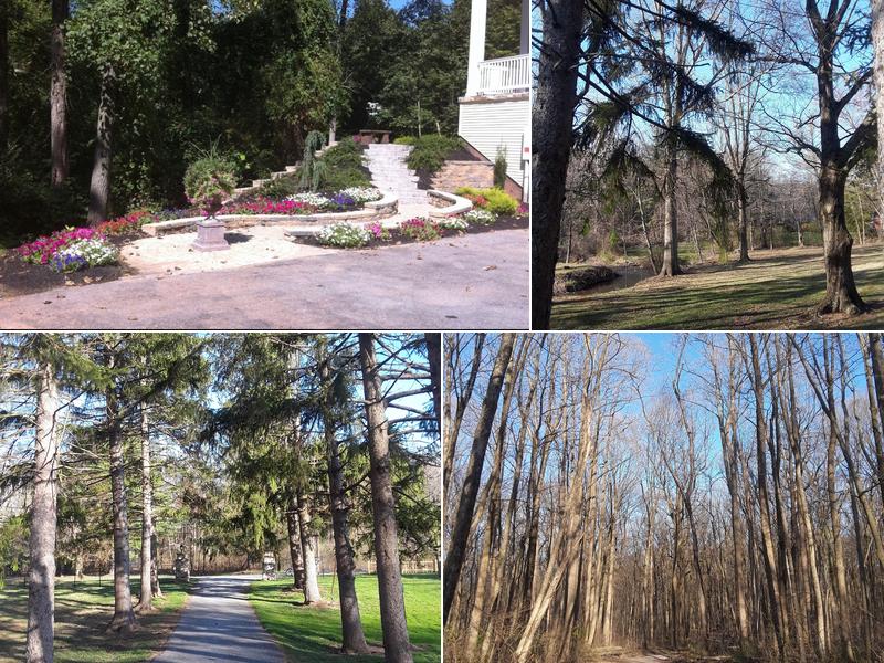 All Seasons Lawn Care & Snow Removal