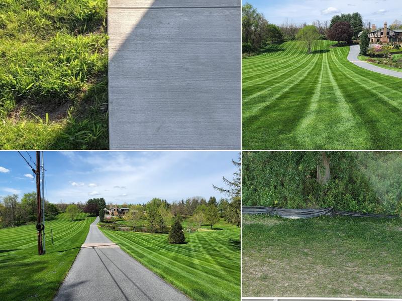 Bailey Landscape Maintenance