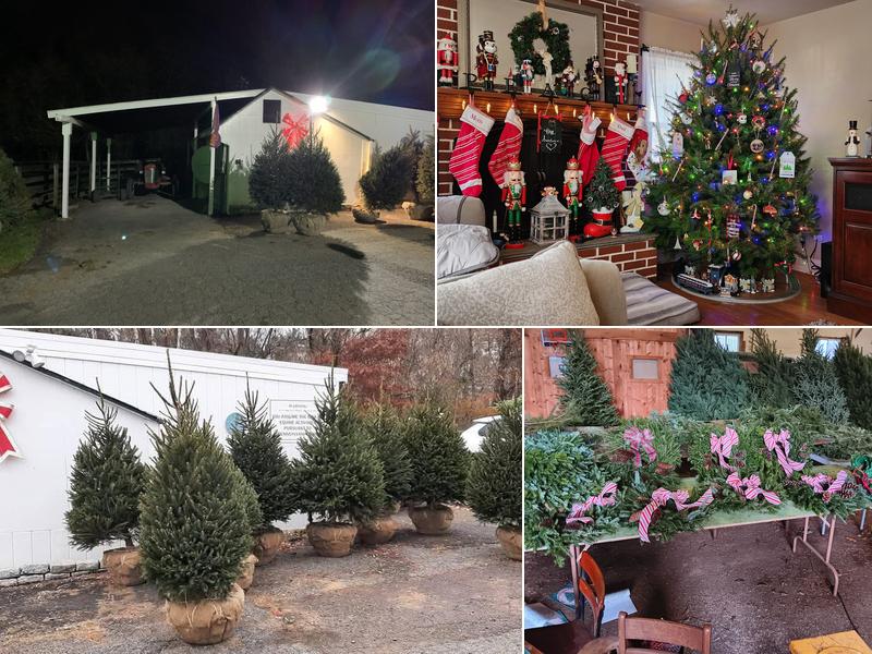 Starlyte Christmas Tree Farm