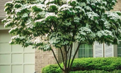 Reed Brothers Landscaping