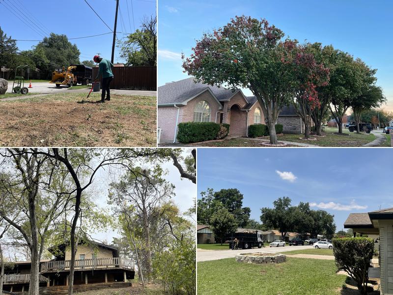 Tactical Tree Operations