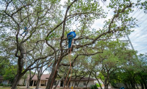 A.L. Tree Services LLC