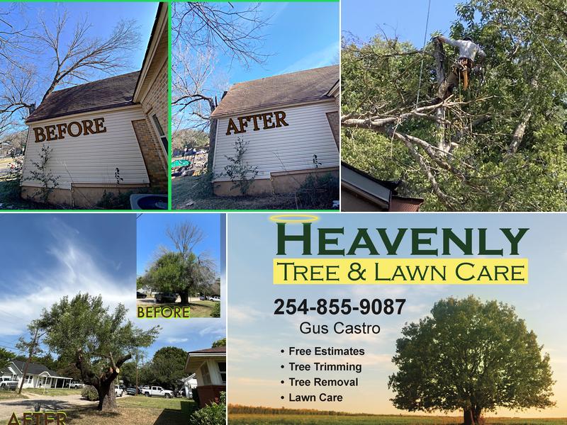 Heavenly Tree And Lawn Care