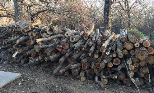 Big Tex Tree & Landscaping