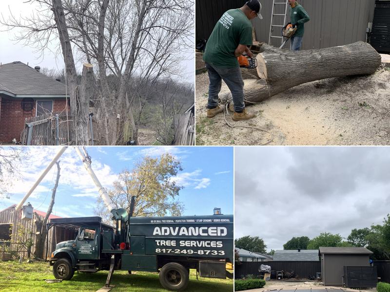 Advanced Tree Services