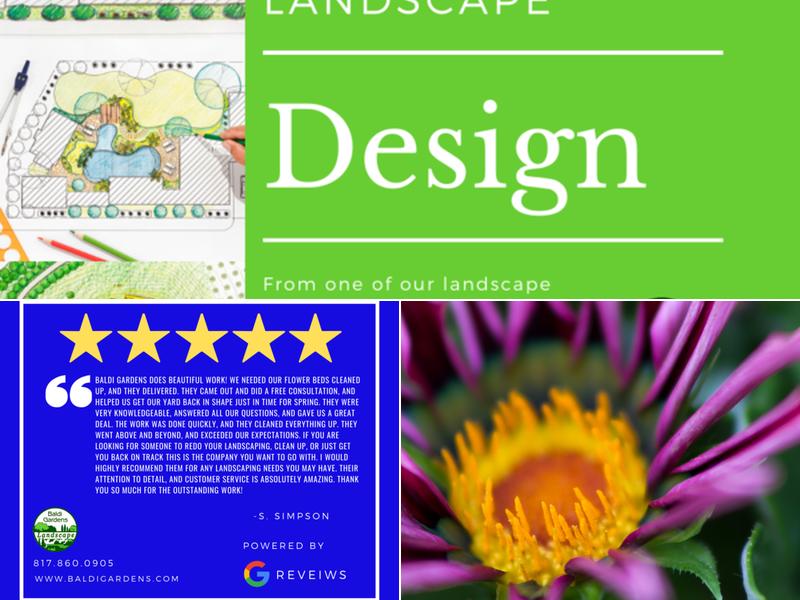 Baldi Designs & Installation