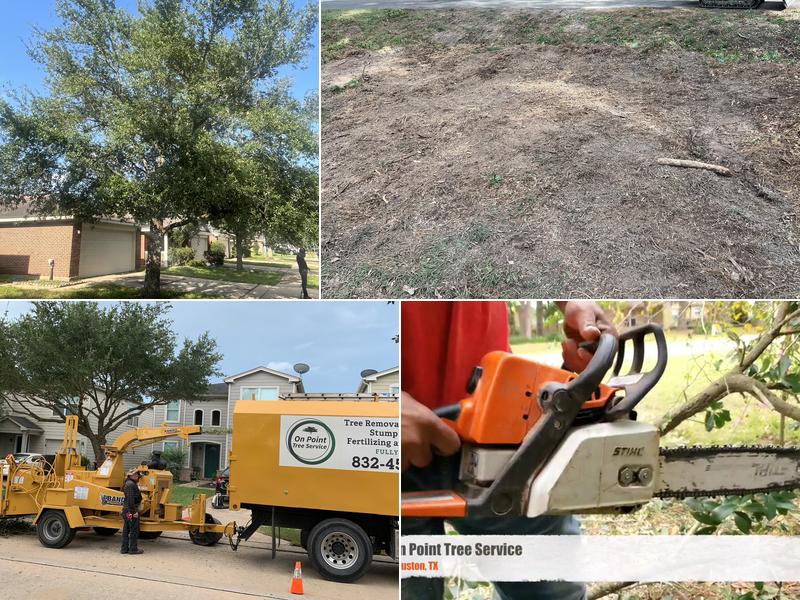 On Point Tree Service