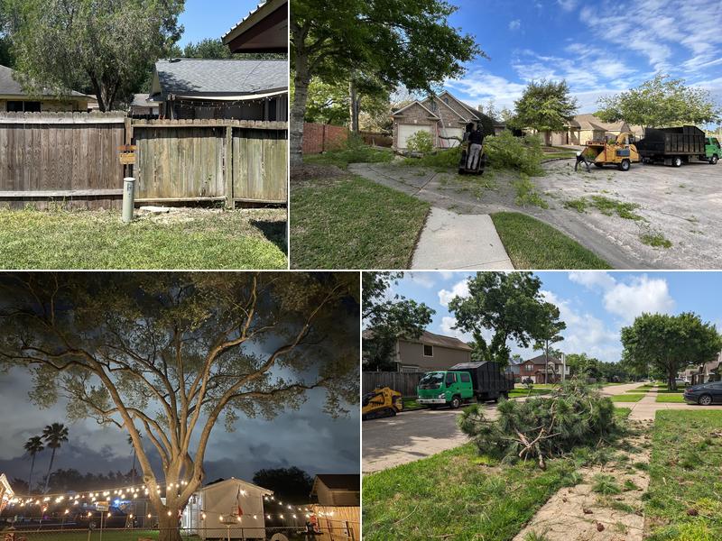 Gabby's Tree Service