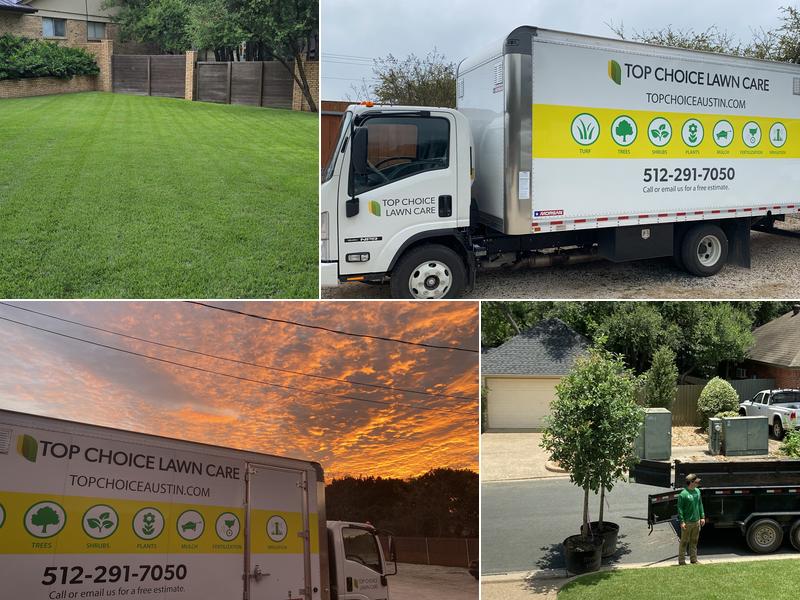 Top Choice Lawn Care