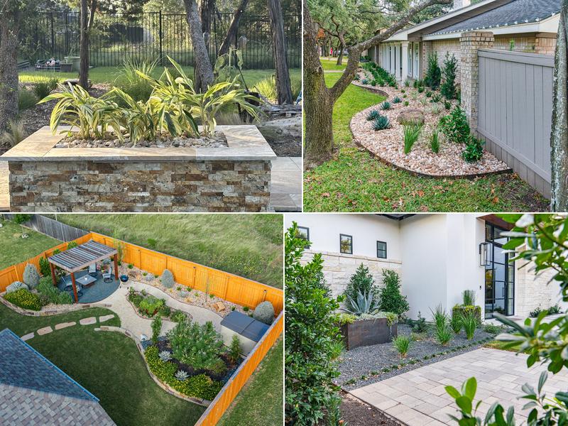 Agave LD of Georgetown