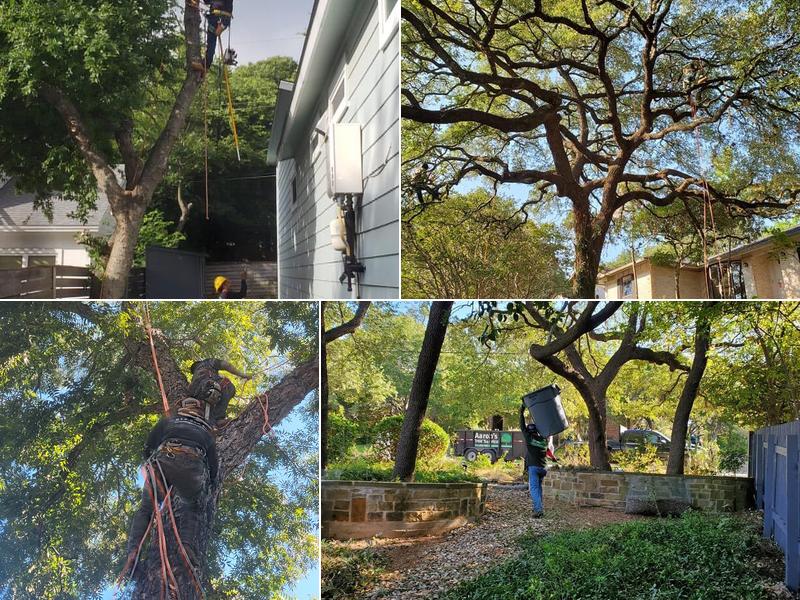 Aaron's Tree Service