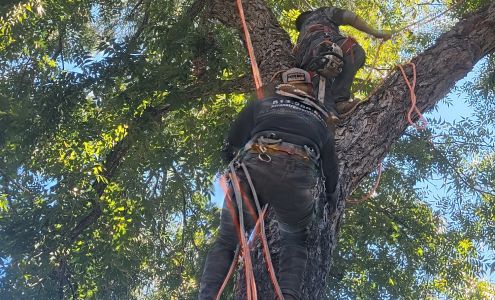 Aaron's Tree Service