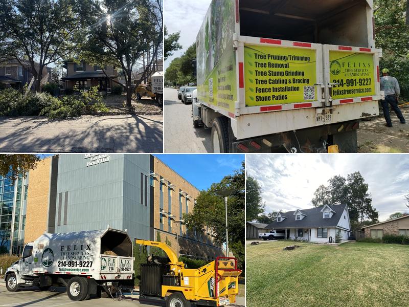 Felix's Tree Service