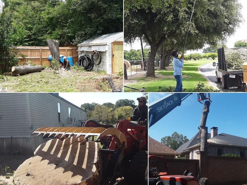 Triple J Tree Service