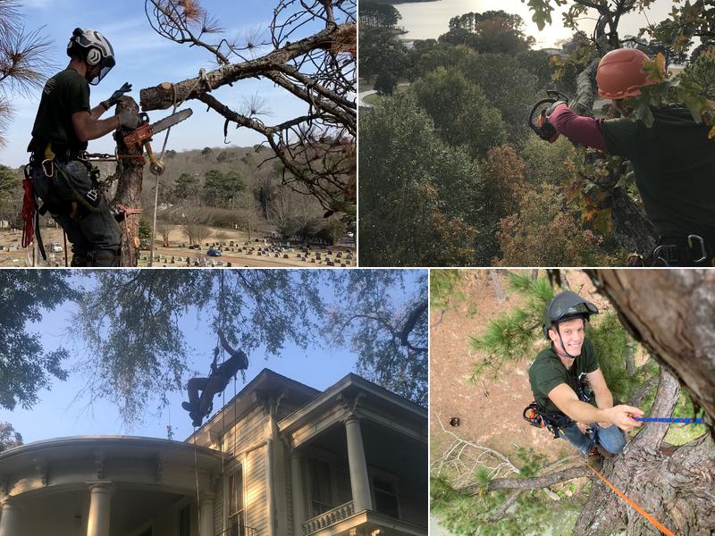 Sunnybrook Tree Service