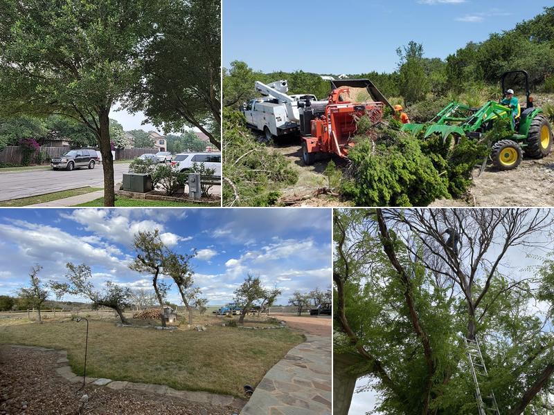 Central Texas Tree Service