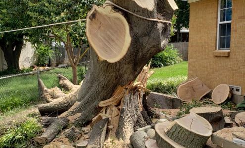 Hartin Tree Service 1428 Eastview Dr, Weatherford Texas 76086