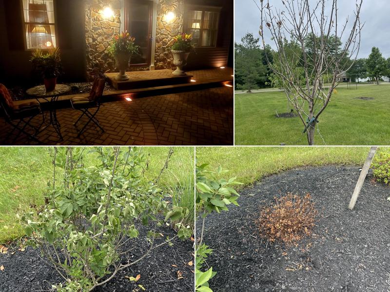 L A Verruni Landscaping