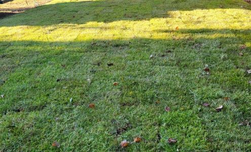 Somers Turf Farm 5047 Farm 1009 Rd, Nome Texas 77629