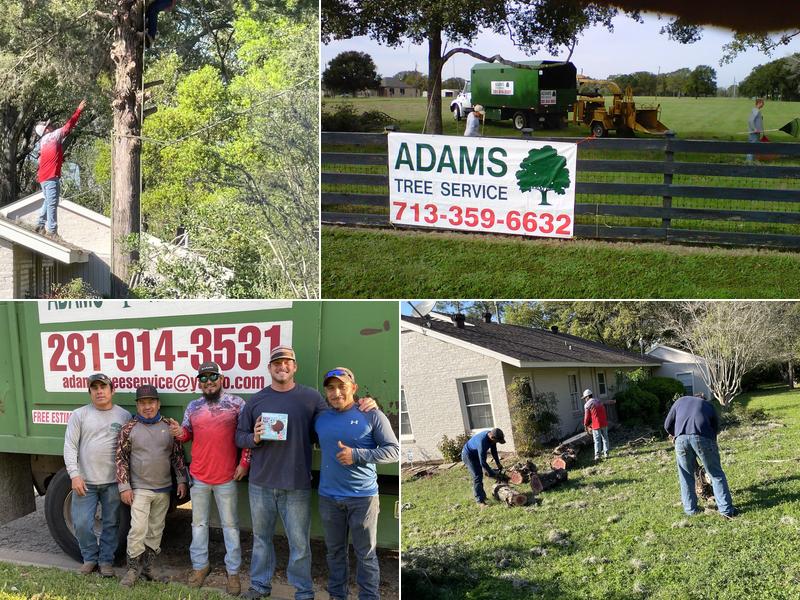 Adams Tree Service
