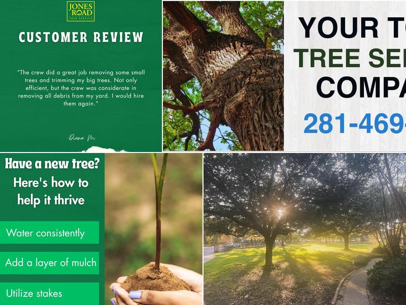 Jones Road Tree Service