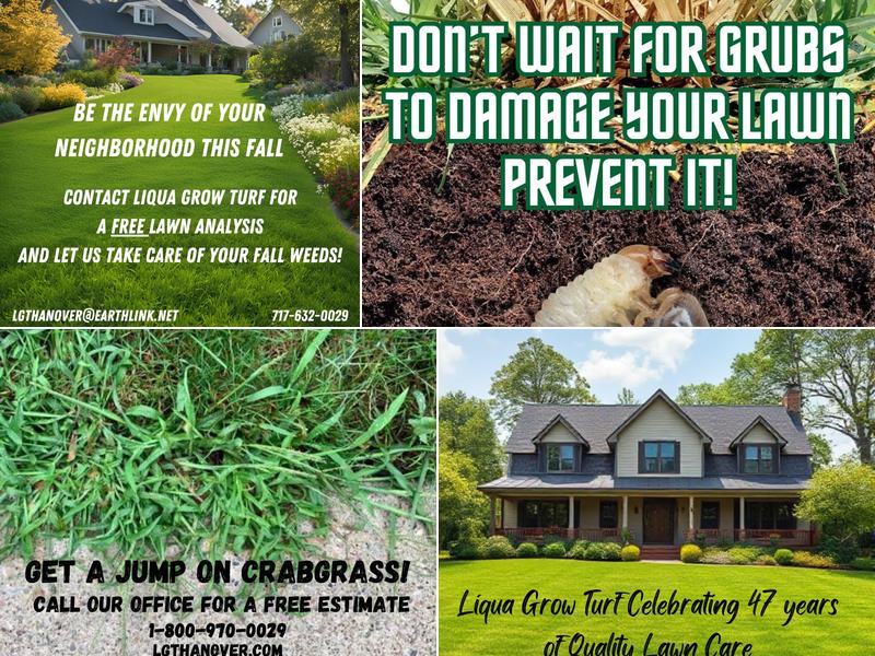 Liqua-Grow Turf Hanover