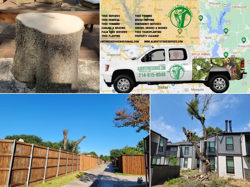 Albert Tree Service in Dallas, TX 75243