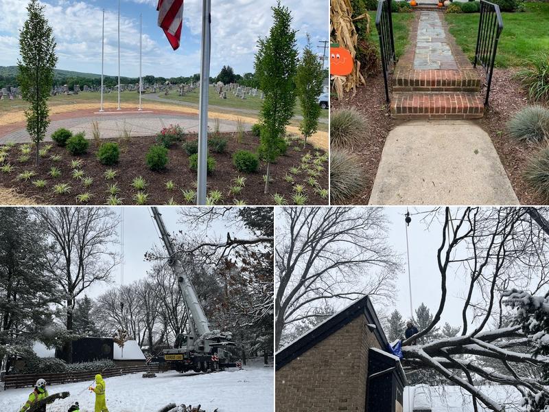 York Tree Services Inc